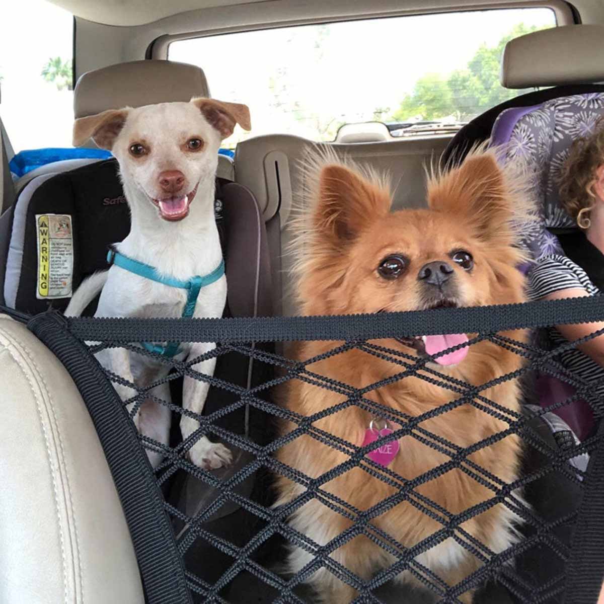 Pet Dog Rear Seat Car Fence Do - Partition Screen Divider review and price